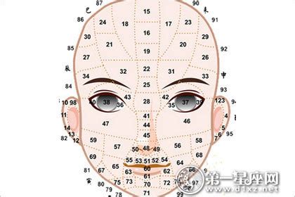 面相年齡|面相：流年運氣部位歌——什麼歲數的運氣，看臉上什。